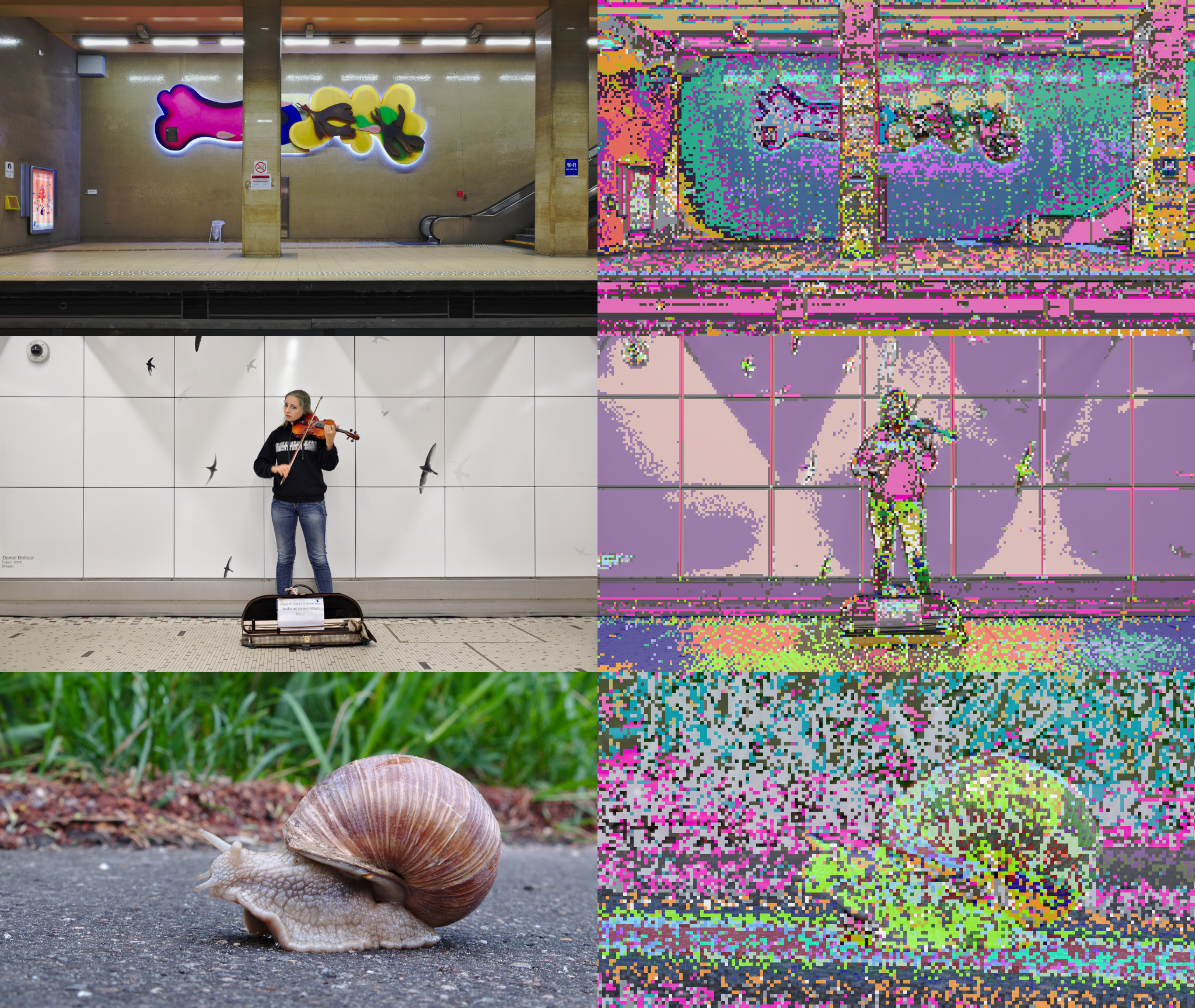 Research Figure showing image segmentation